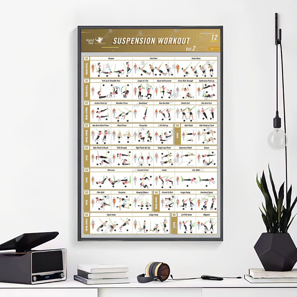 X007 Home Decor Suspension Exe - Home Gym Guide reseña y precio