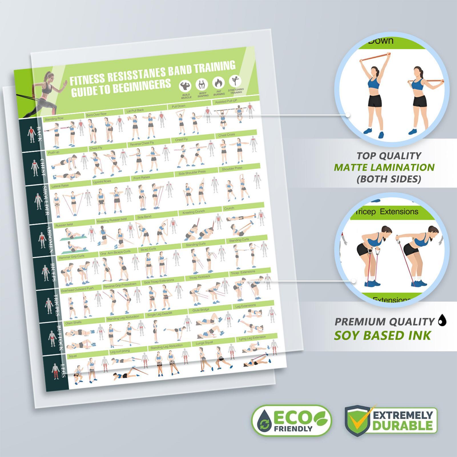 Workout Posters with Resistanc - Home Gym Guide reseña y precio