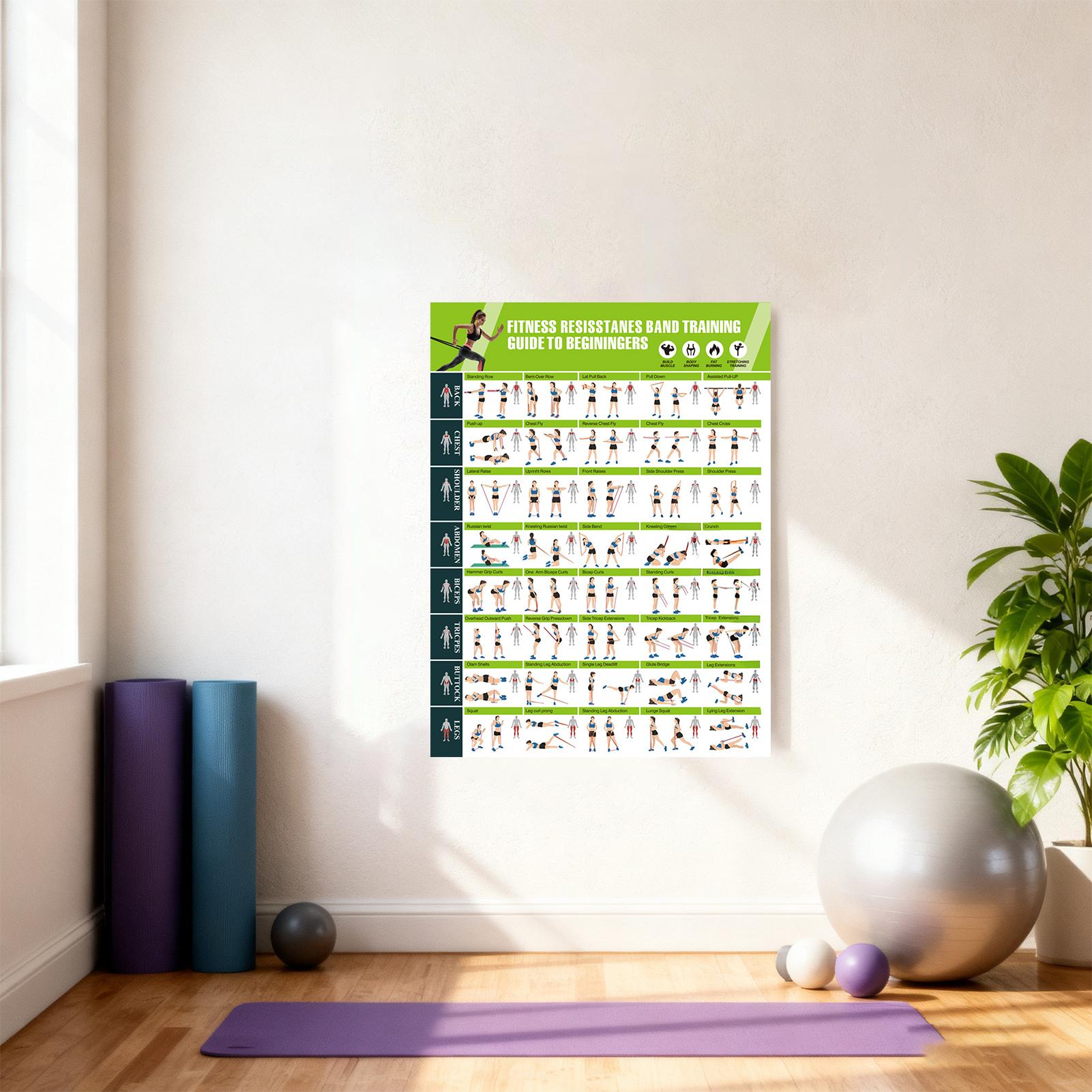 Workout Posters with Resistanc - Home Gym Guide reseña y precio