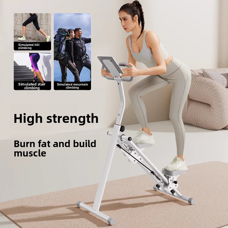 Home Gym Fitness Stair Climber - Leg Home Gym Workout reseña y precio