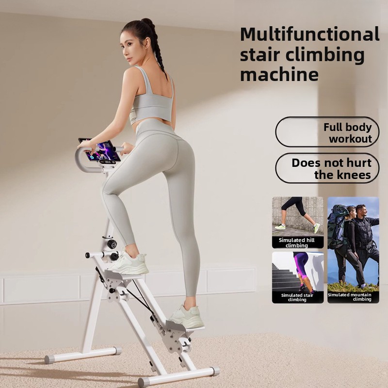 Home Gym Fitness Stair Climber - Leg Home Gym Workout reseña y precio