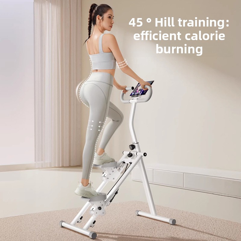 Home Gym Fitness Stair Climber - Leg Home Gym Workout reseña y precio
