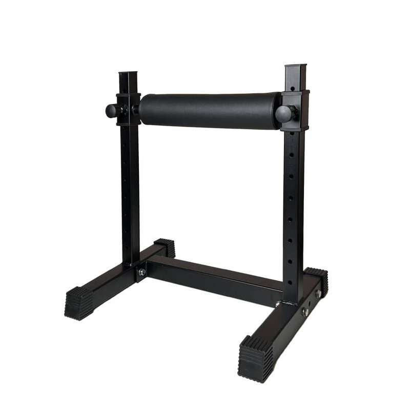 Adjustable Single Leg Squat St - Leg Home Gym Workout reseña y precio
