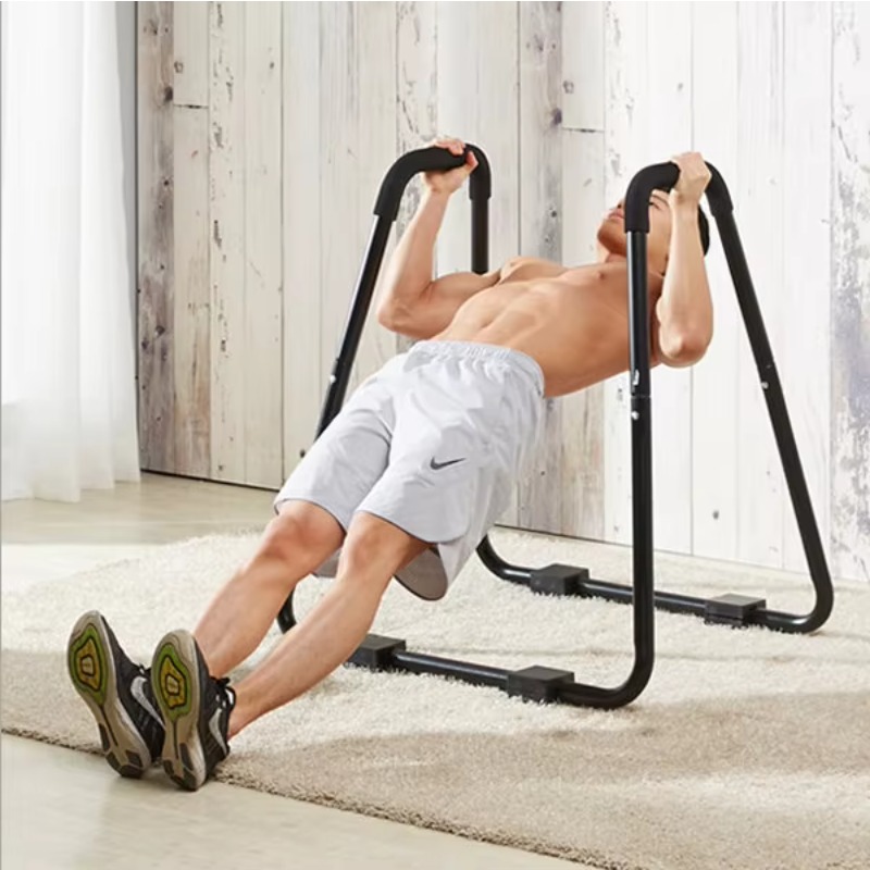 Indoor Home Gym Steel Fitness  - Dip Station Parallel reseña y precio