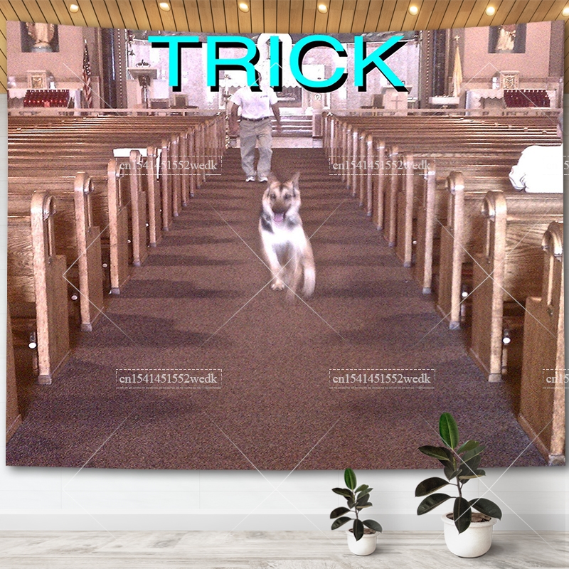 Alex G Trick Album Cover Tapes - Home Gym Decor reseña y precio