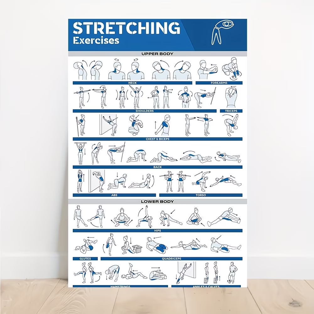 Modern Labeled Full-Body Stret - Home Gym Decor reseña y precio