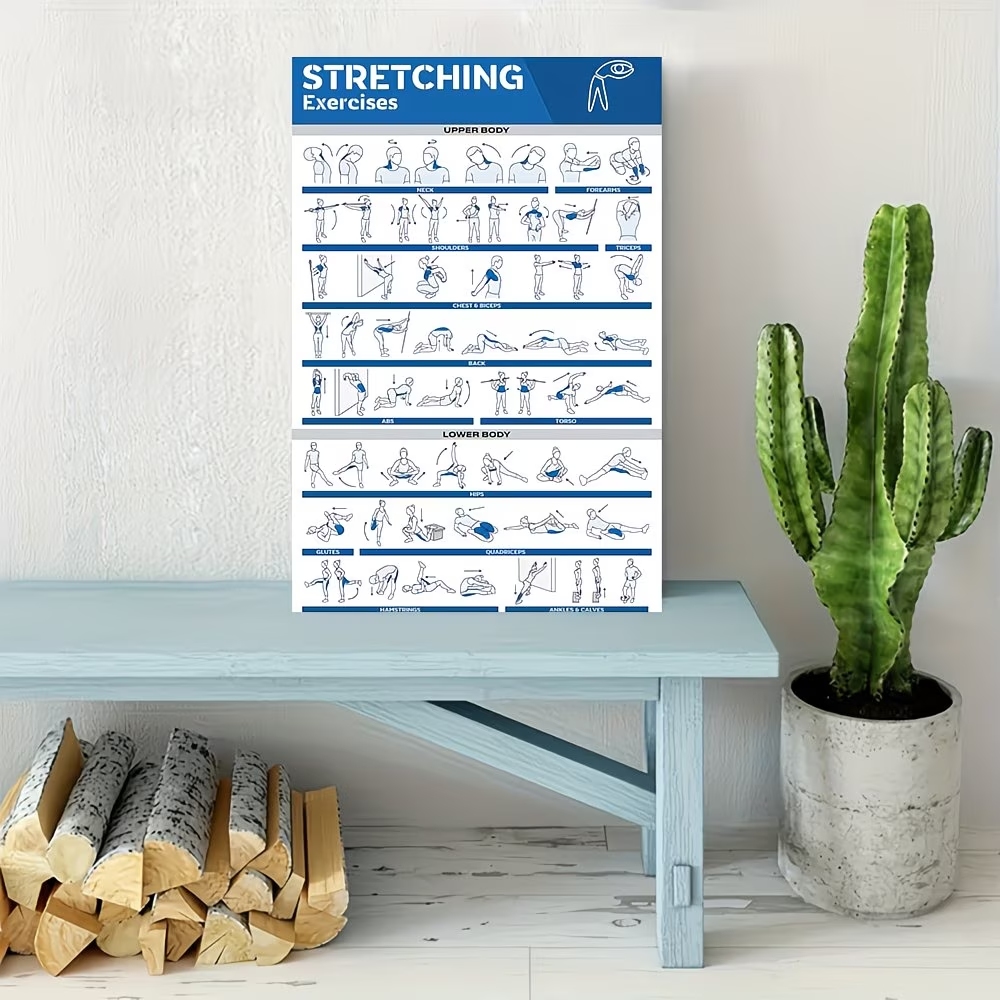 Modern Labeled Full-Body Stret - Home Gym Decor reseña y precio