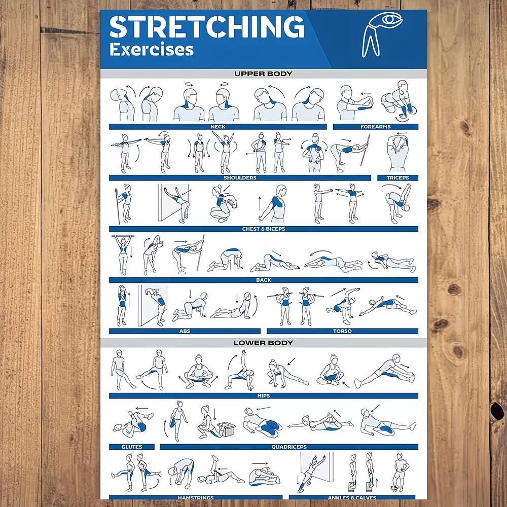 Modern Labeled Full-Body Stret - Home Gym Decor reseña y precio
