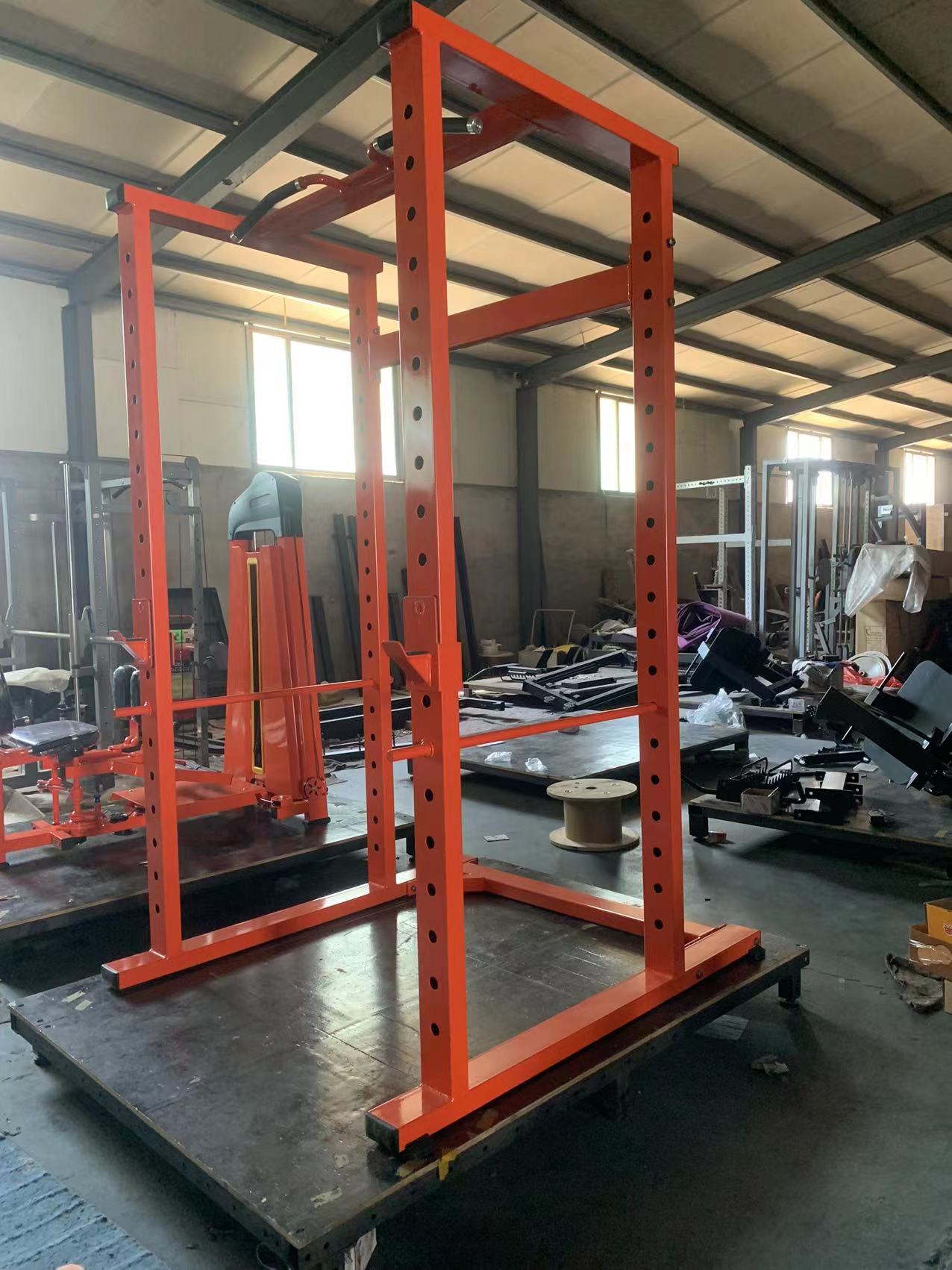 Power Cage & Squat Rack for We - Fitness Home Gym Equipment reseña y precio