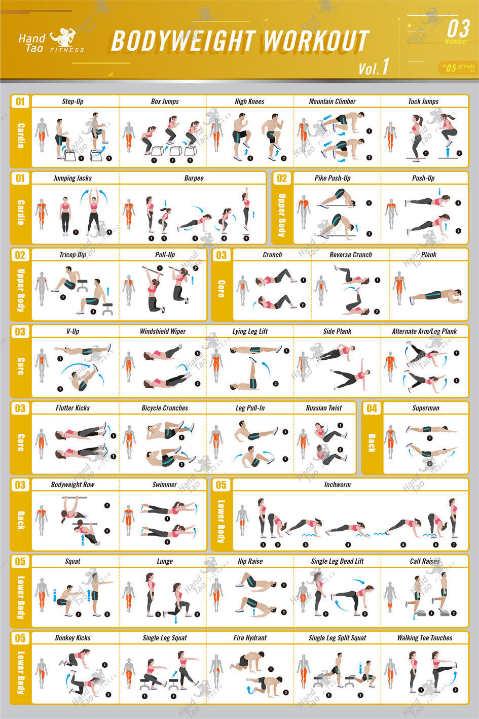 Bodyweight workout Exercise Bo - Home Gym Guide reseña y precio