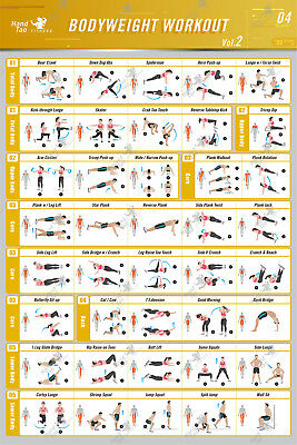 Bodyweight workout Exercise Bo - Home Gym Guide reseña y precio