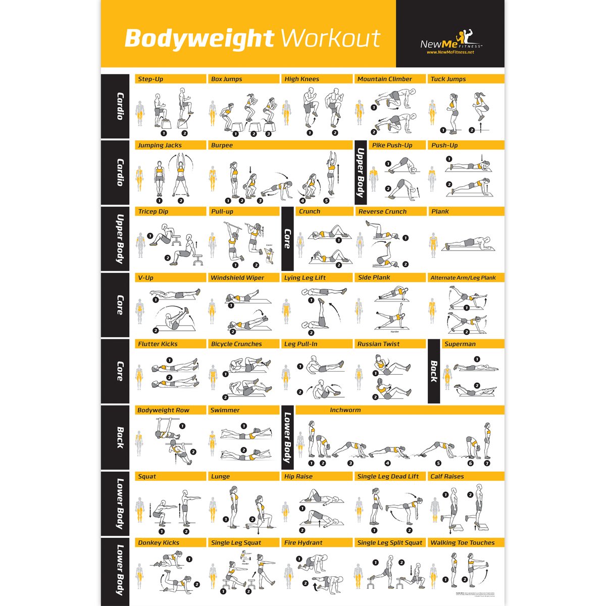 Bodyweight workout Exercise Bo - Home Gym Guide reseña y precio