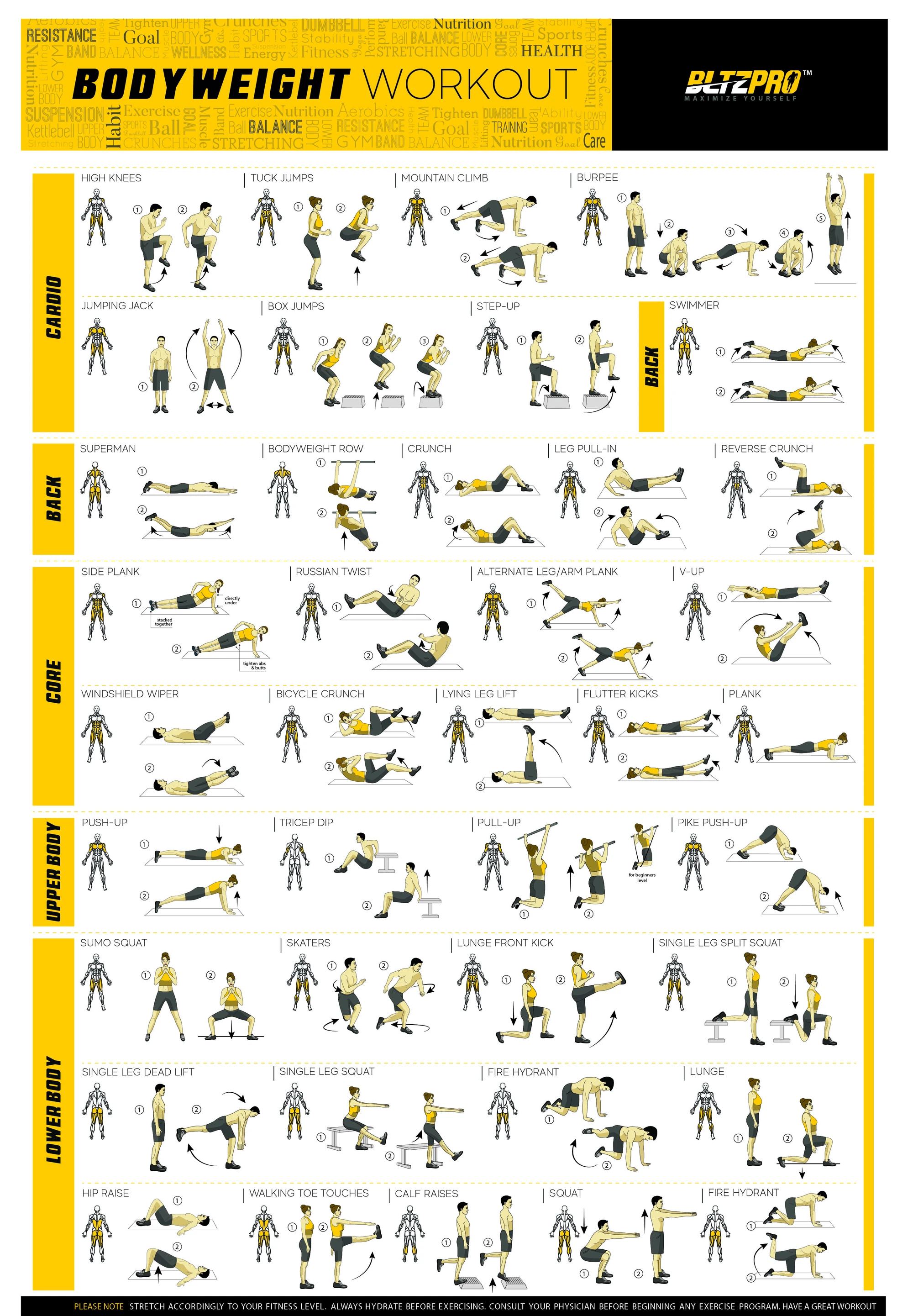 Bodyweight workout Exercise Bo - Home Gym Guide reseña y precio