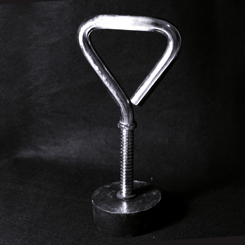 Adjustable Fitness Kettlebell  - Leg Home Gym Workout reseña y precio
