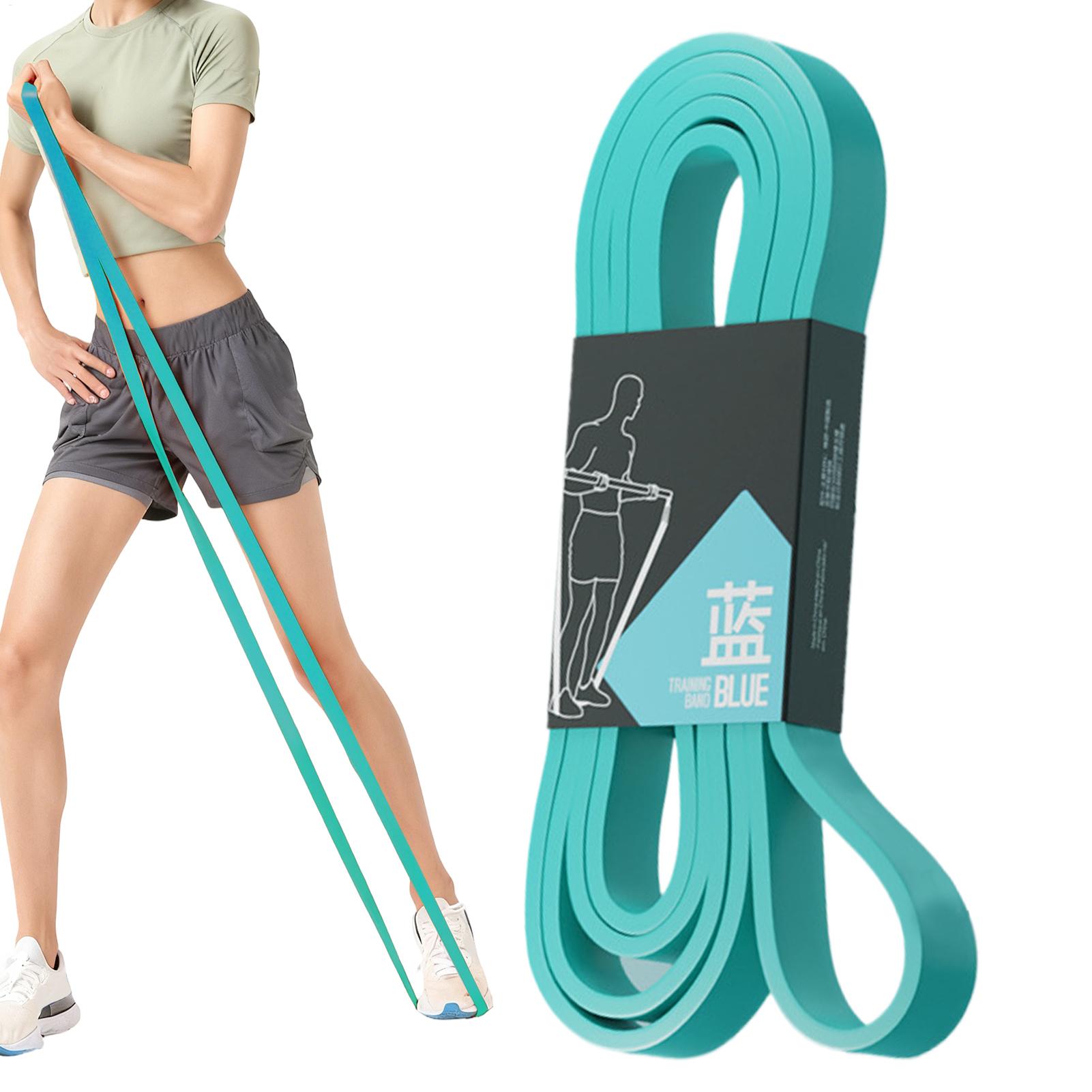 Workout Resistance Bands Elast - Home Gym House reseña y precio